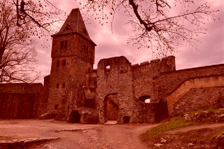 Violet, 32 — Escort in Frankenstein, Germany