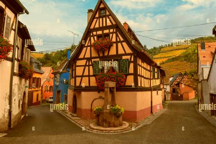 Violet, 32 — Escort in Niedermorschwihr, France