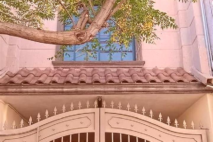 Violet, 32 — Escort in San Nicolas de Carretas, Mexico