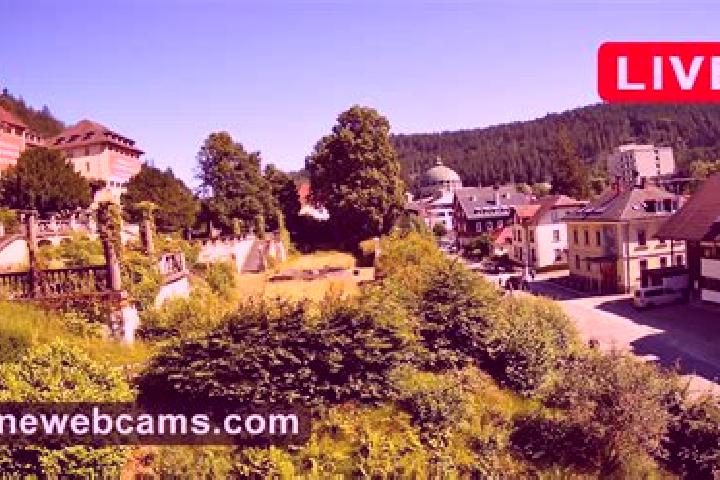 Violet, 32 — Escort in Sankt Blasien, Germany