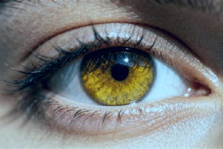 Violet, 33, a auburn amber-eyed european companion based in Ngrambitan. Offering Couples, GFE, Striptease. Available for incall and outcall, day and evening ...
