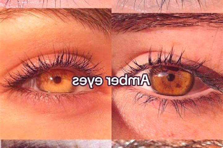 Violet, 33, a chestnut amber-eyed mediterranean companion based in Simbakoro. Offering Massage, Overnight, Prostate Massage. Available for incall and outcall...