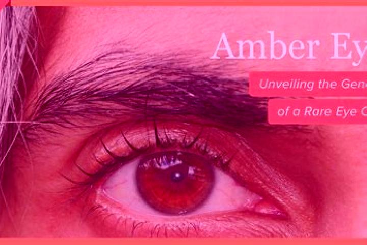 Violet, 33, a red amber-eyed slavic companion based in Halban. Offering GFE, Party Girl, Overnight. Available for incall and outcall, overnight bookings avai...