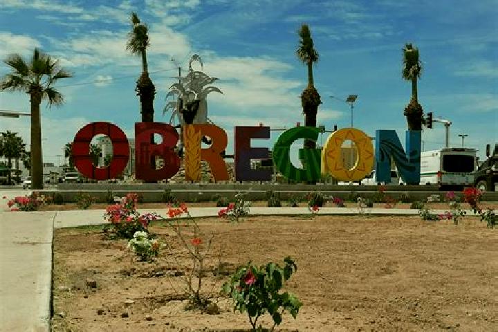 Violet, 33 — Escort in Canadas de Obregon, Mexico