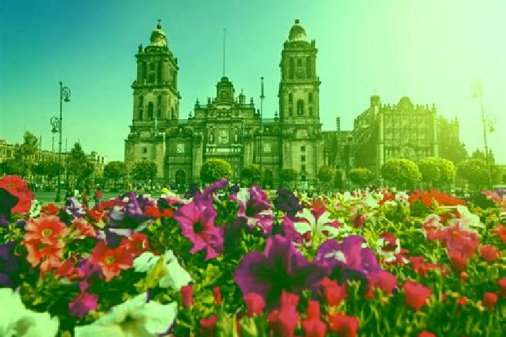 Violet, 33 — Escort in Ciudad de Armeria, Mexico