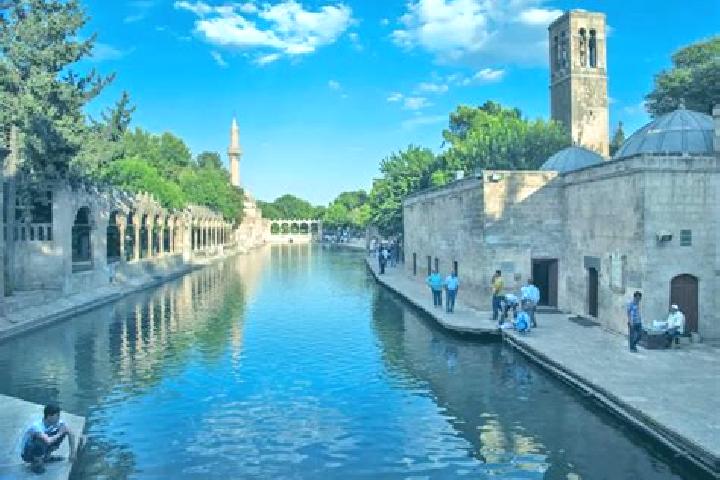 Violet, 33 — Escort in Direkli, Turkey