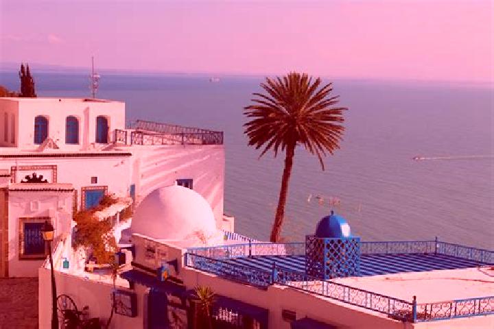 Violet, 33 — Escort in Jedeida, Tunisia