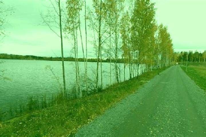 Violet, 33 — Escort in Lentaevaenniemi, Finland