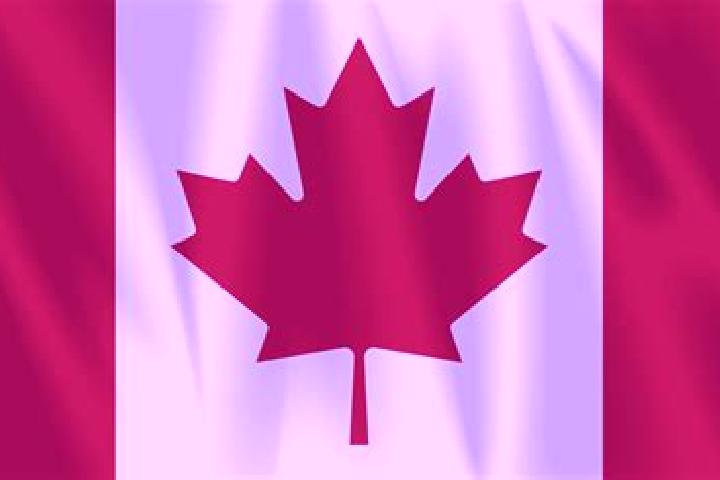 Violet, 33 — Escort in Maple Leaf, Canada