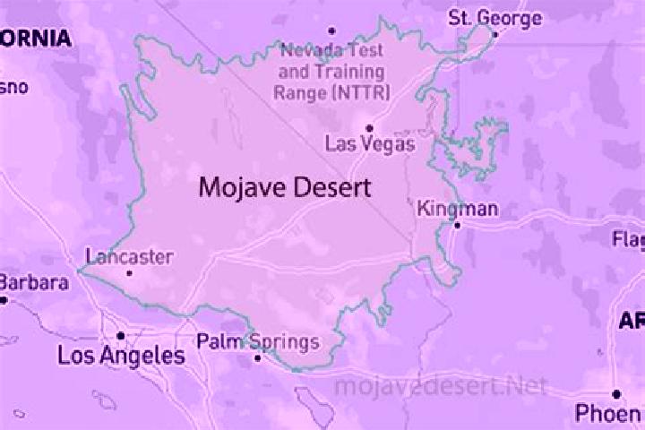 Violet, 33 — Escort in Mojave, United States