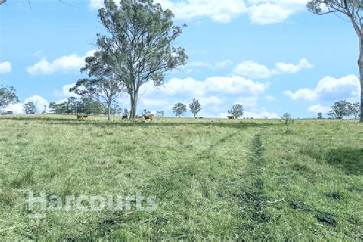 Violet, 33 — Escort in Pheasants Nest, Australia