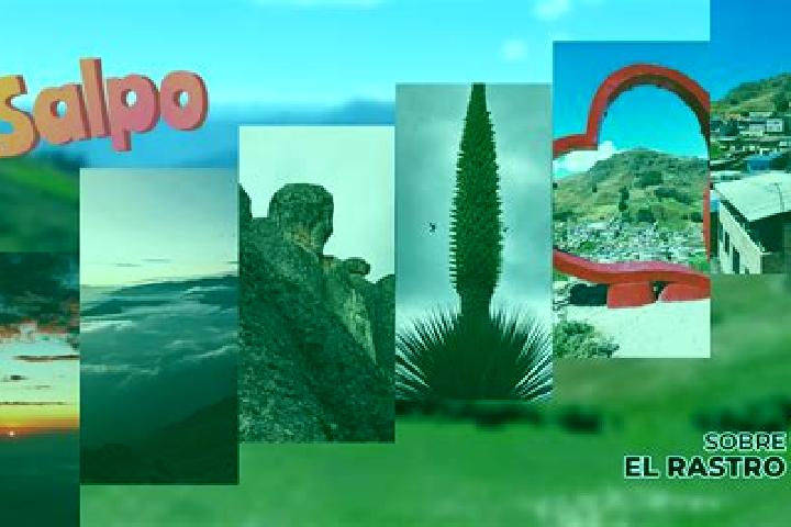 Violet, 33 — Escort in Salpo, Peru