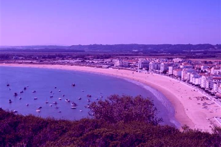 Violet, 33 — Escort in Sao Martinho, Portugal