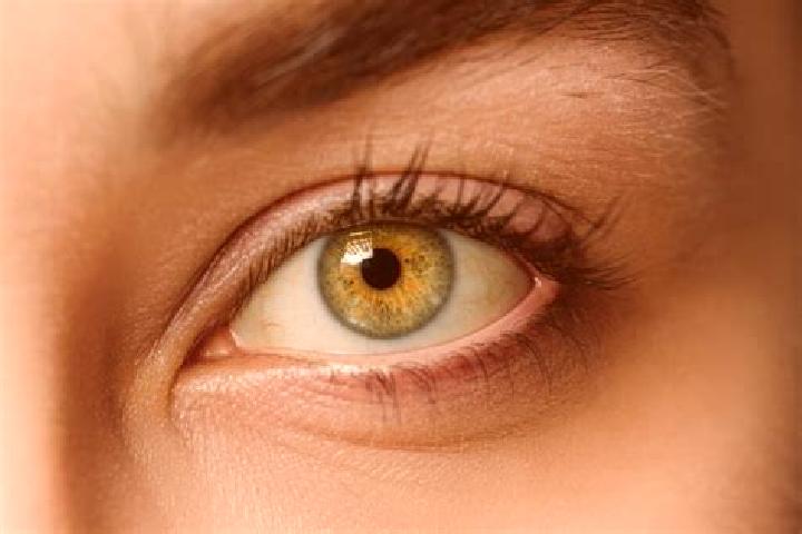 Violet, 34, a auburn hazel-eyed mixed companion based in Roussospiti. Offering BDSM, Duos, OWO, Prostate Massage, A-Level. Available for incall and outcall, ...