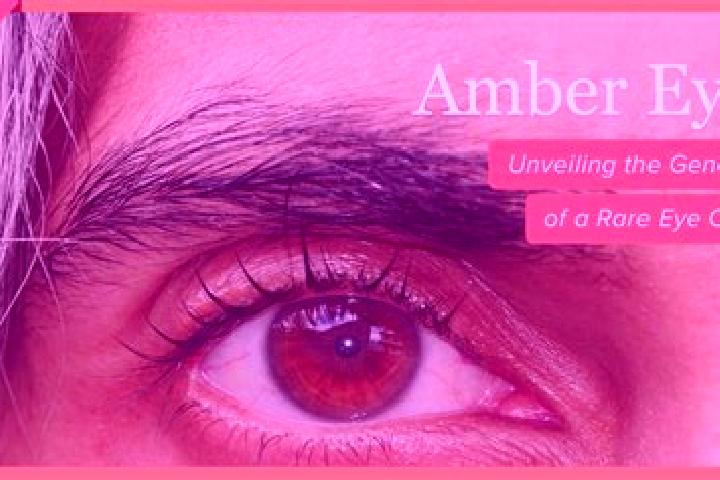 Violet, 34, a black amber-eyed mediterranean companion based in Oberraden. Offering Striptease, Domination, Couples. Available for incall and outcall, day an...