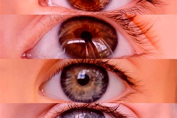 Violet, 34, a chestnut hazel-eyed caribbean companion based in Salalah. Offering Duos, CIM, 69, Domination. Available for incall and outcall, day and evening...
