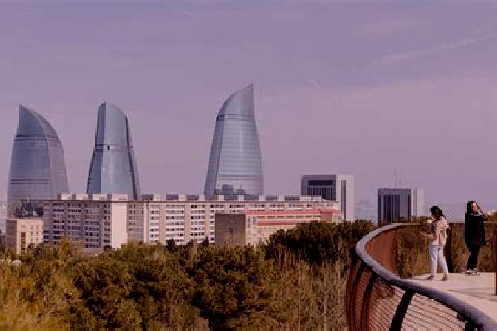 Violet, 34 — Escort in Bilajari, Azerbaijan