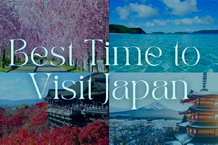 Violet, 34 — Escort in Fujishiro, Japan
