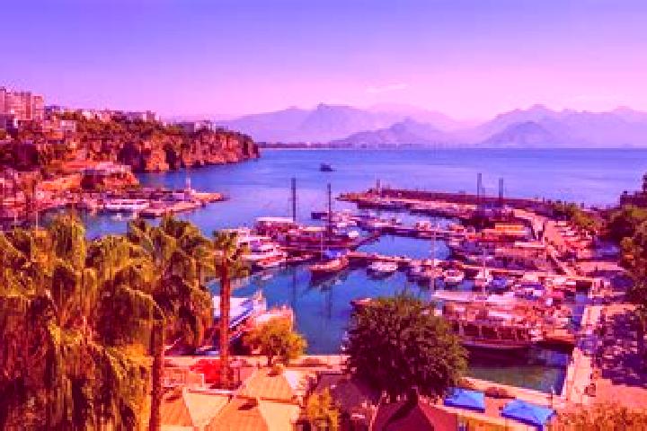 Violet, 34 — Escort in Gundogdu, Turkey