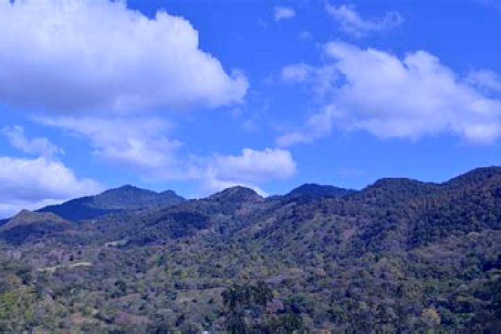 Violet, 34 — Escort in Las Sabanas, Nicaragua