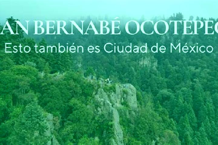 Violet, 34 — Escort in San Dionisio Ocotepec, Mexico
