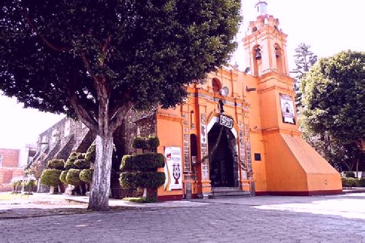 Violet, 34 — Escort in San Francisco Totoltepec, Mexico