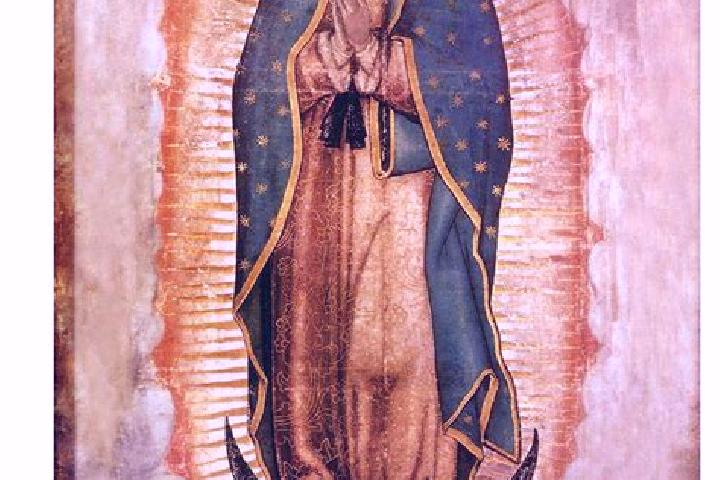 Violet, 34 — Escort in Santa Maria Guadalupe Tecola, Mexico