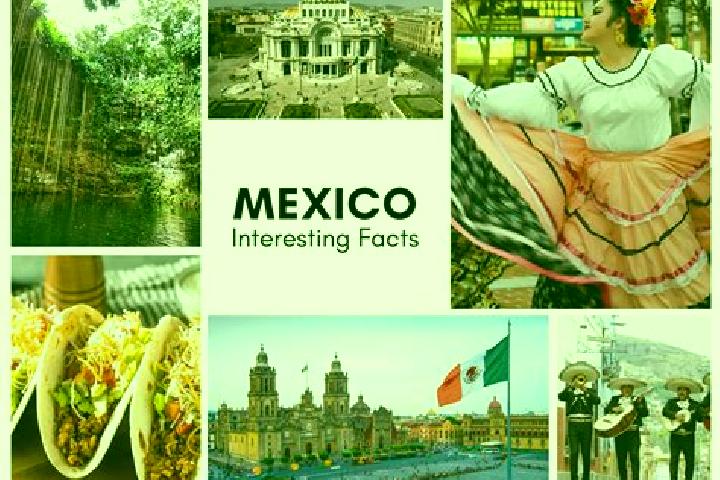Violet, 34 — Escort in Tepexititla, Mexico