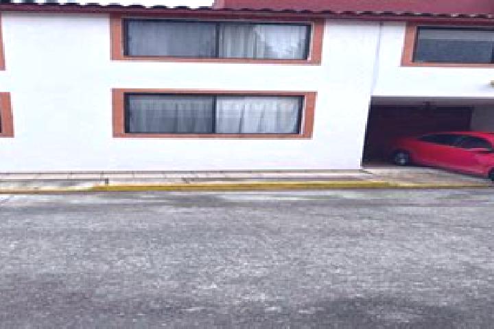 Violet, 34 — Escort in Tlalmimilolpan, Mexico