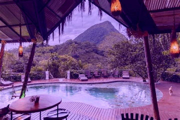 Violet, 34 — Escort in Vegachi, Colombia