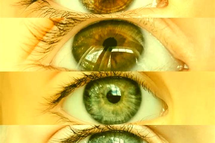 Violet, 35, a chestnut dark-eyed mixed companion based in Monte Alegre. Offering 69, Girlfriend Experience, BDSM. Available for incall and outcall, overnight...