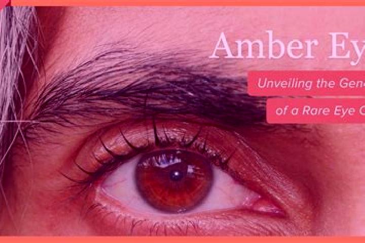Violet, 35, a red amber-eyed caucasian companion based in Giubiasco. Offering Dinner Date, Girlfriend Experience, GFE, 69. Available for incall and outcall, ...