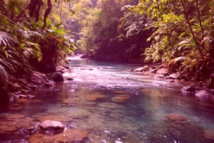 Violet, 35 — Escort in Cevicos, Dominican Republic