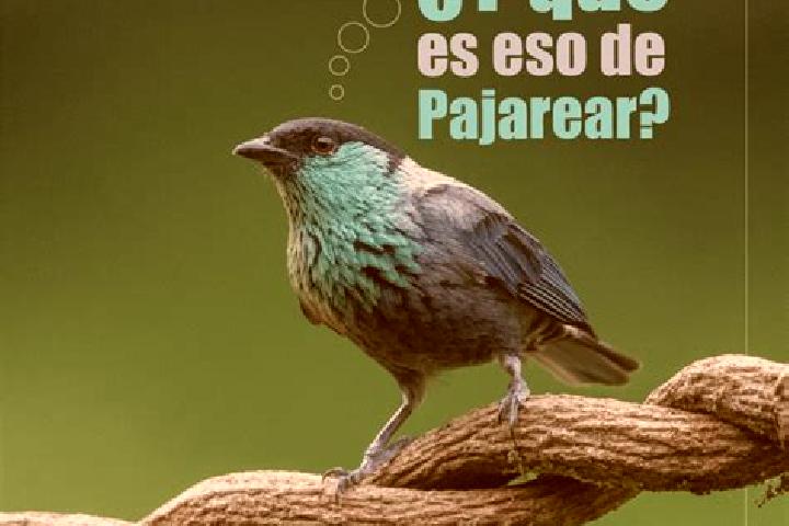 Violet, 35 — Escort in El Paujil, Colombia