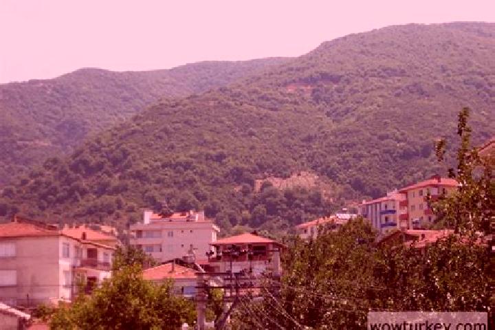 Violet, 35 — Escort in Esenkoey, Turkey