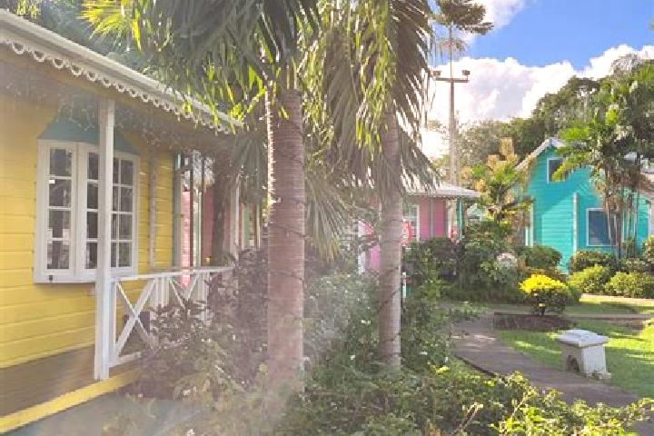 Violet, 35 — Escort in Holetown, Barbados