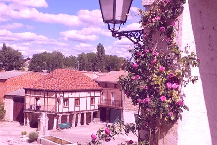 Violet, 35 — Escort in Hontoria de Valdearados, Spain