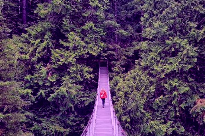 Violet, 35 — Escort in Lynn Canyon, Canada