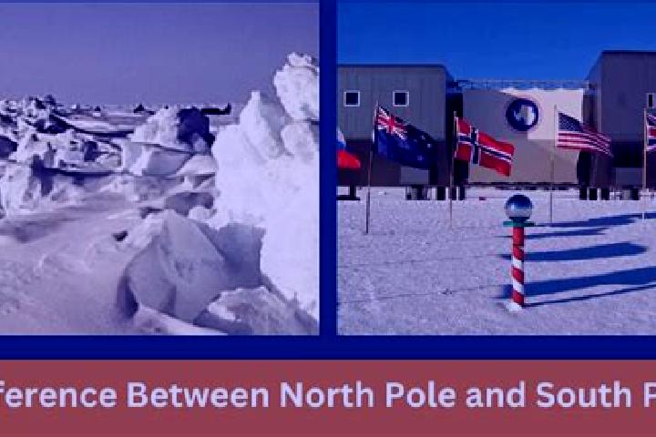 Violet, 35 — Escort in North Pole, United States