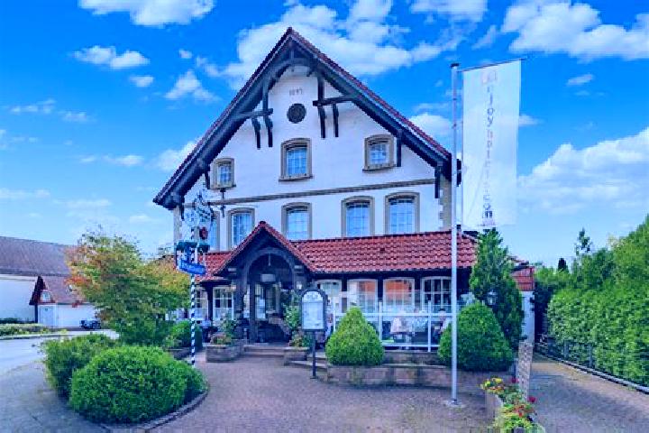 Violet, 35 — Escort in Rethem, Germany