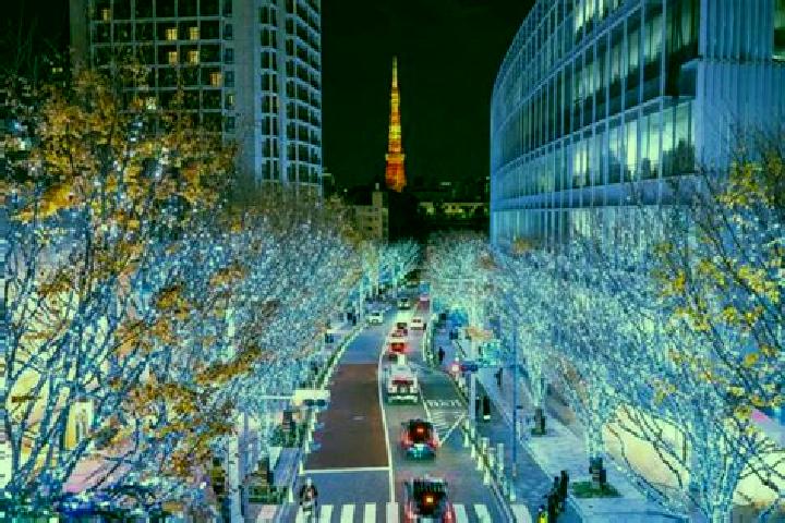 Violet, 35 — Escort in Roppongi, Japan