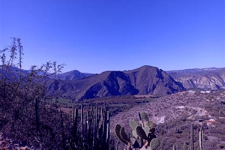 Violet, 35 — Escort in San Juan Tepecoculco, Mexico