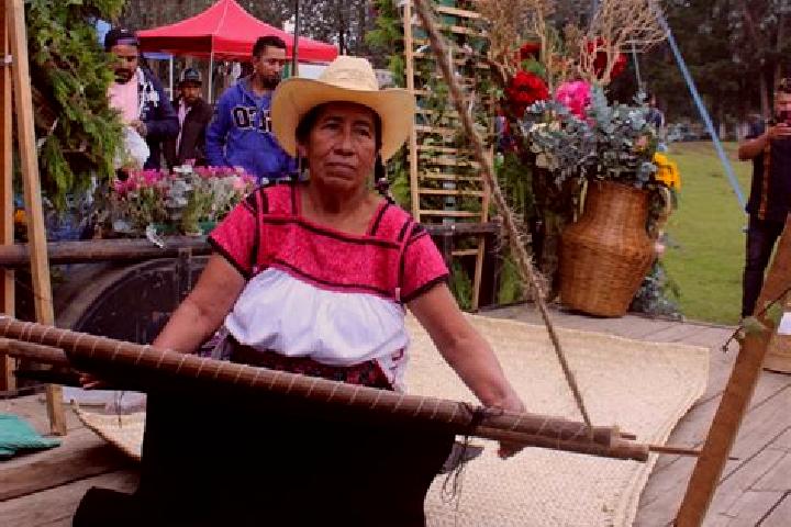 Violet, 35 — Escort in Santa Ana Tzacuala, Mexico