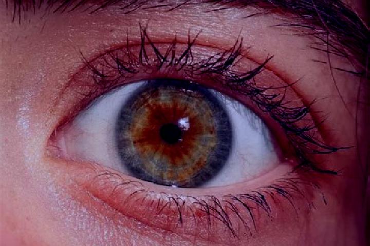 Violet, 36, a red hazel-eyed mediterranean companion based in Inverkip. Offering OWO, Deep French Kissing, Striptease, Prostate Massage, Party Girl. Availabl...