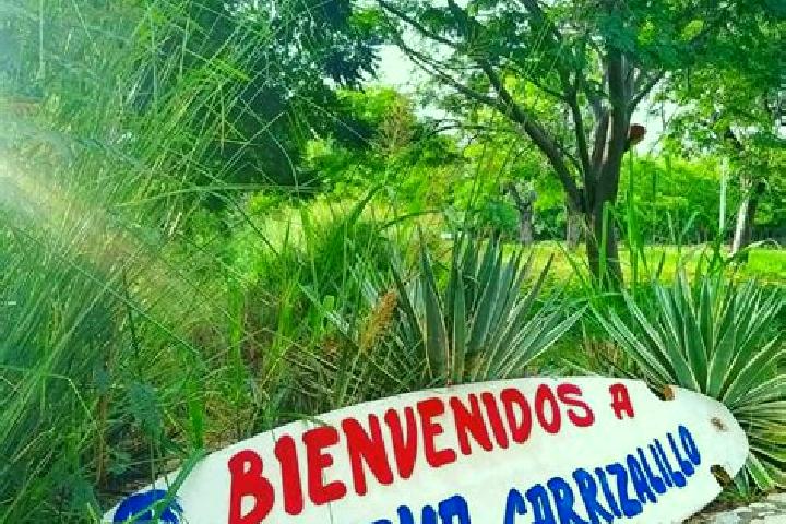 Violet, 36 — Escort in El Carrizalito, Mexico