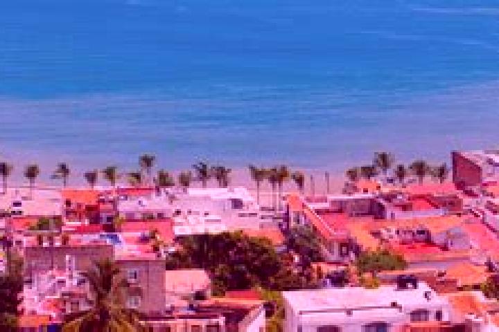 Violet, 36 — Escort in Loma de Guamuchil, Mexico