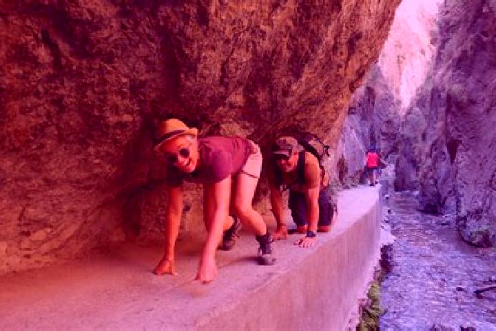 Violet, 36 — Escort in Monachil, Spain