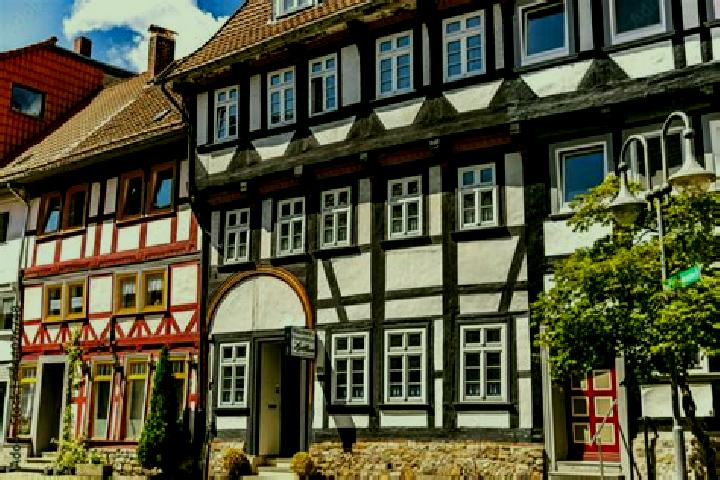 Violet, 36 — Escort in Osterode am Harz, Germany