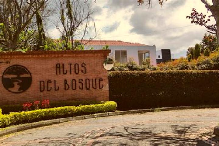 Violet, 36 — Escort in Santa Cuz del Bosque, Mexico
