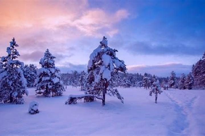 Violet, 36 — Escort in Siltamaeki, Finland